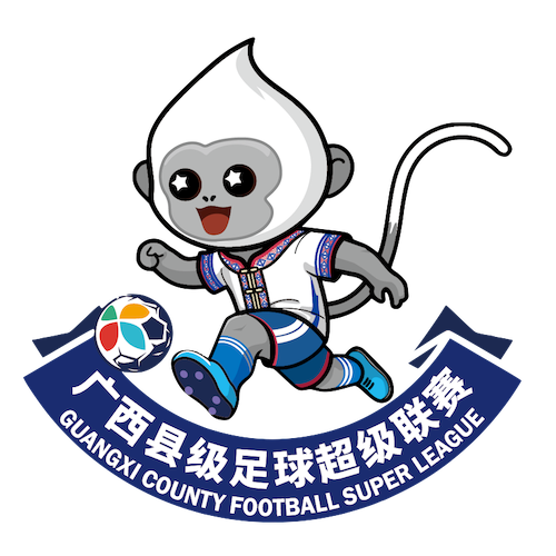 广西县超 钦州市灵山县队1-4北海市合浦县队20260419