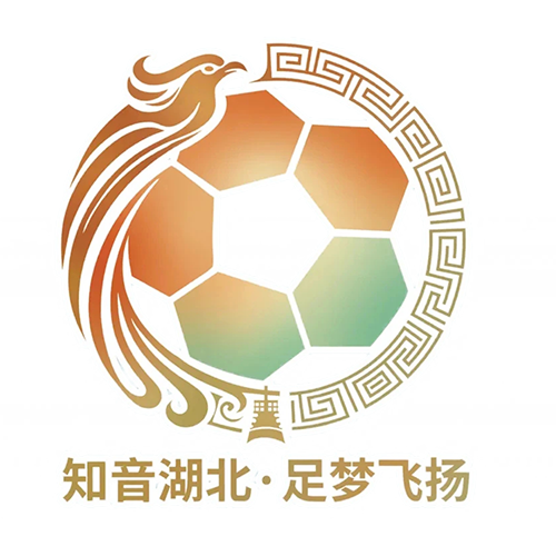 湖北省城市足球联赛 武汉华工科技队VS仙桃黄鳝队20260613