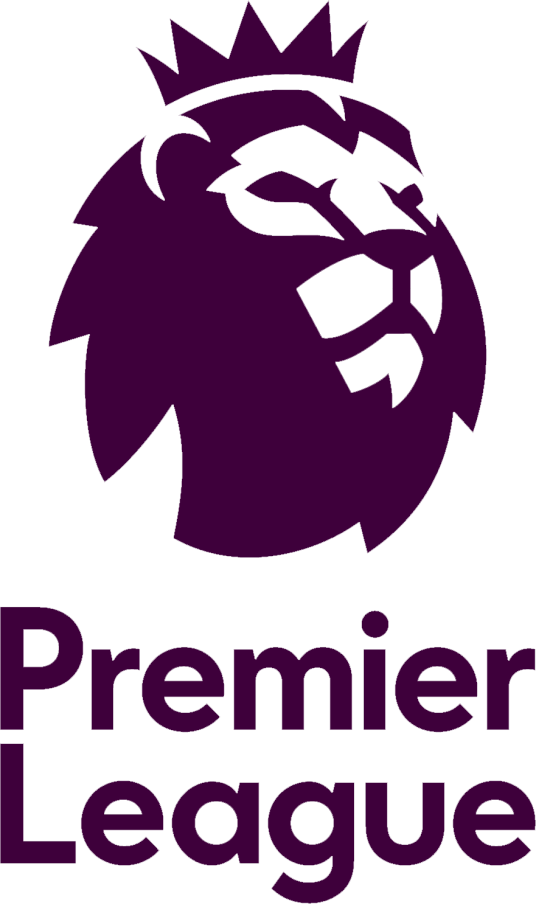 英超 狼队vs埃弗顿20250309